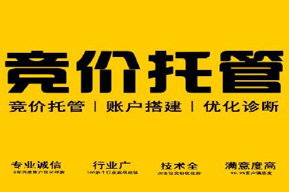 提升转化率：SEM竞价专员的案例研究
